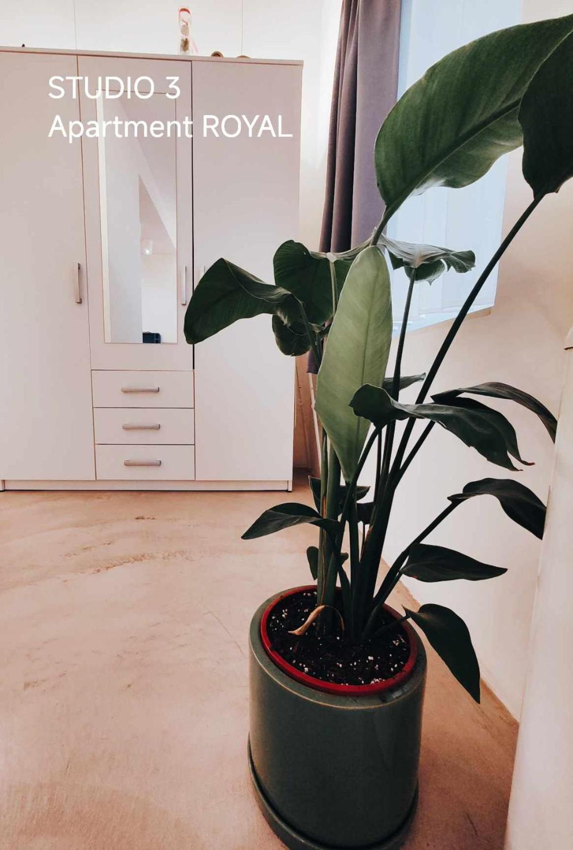 Pekarna Apartments リュブリャナ エクステリア 写真